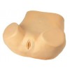 GYNECOLOGICAL TRAINING MODEL (SOFT)